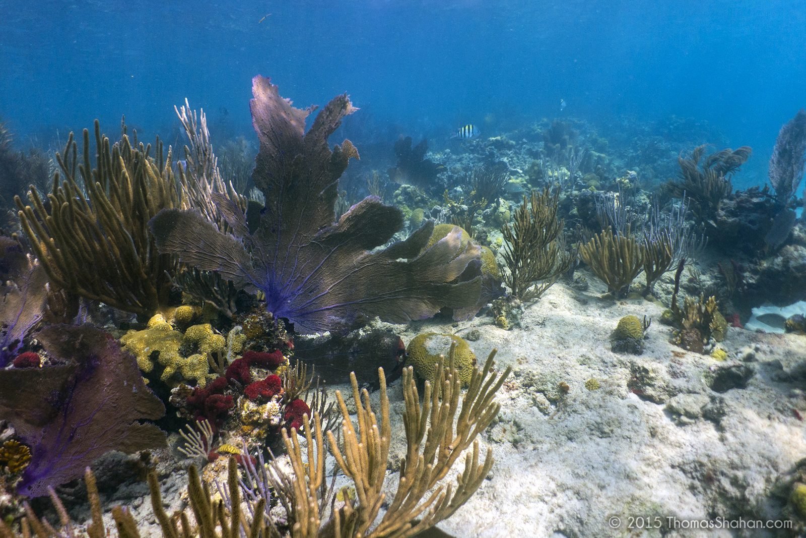 Culebra, photo 4 of 5