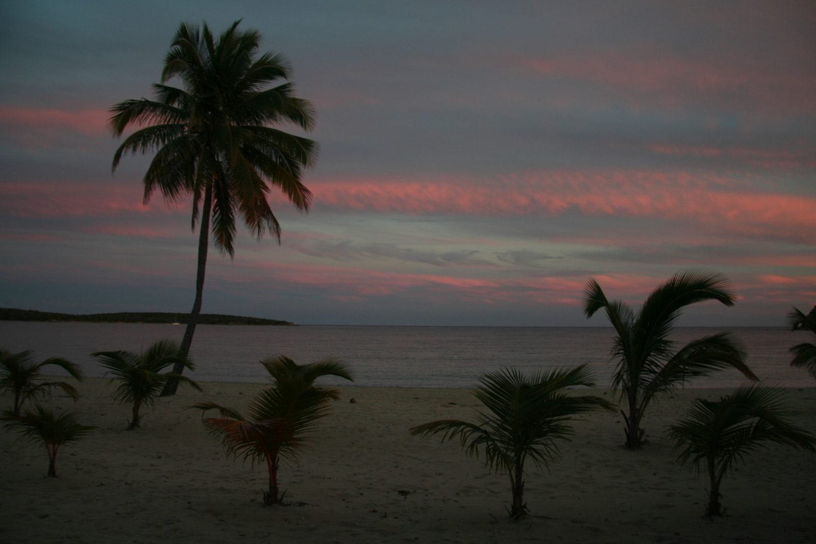 Vieques, photo 5 of 5