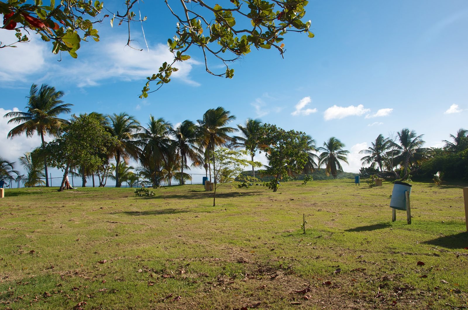 Vieques, photo 2 of 5