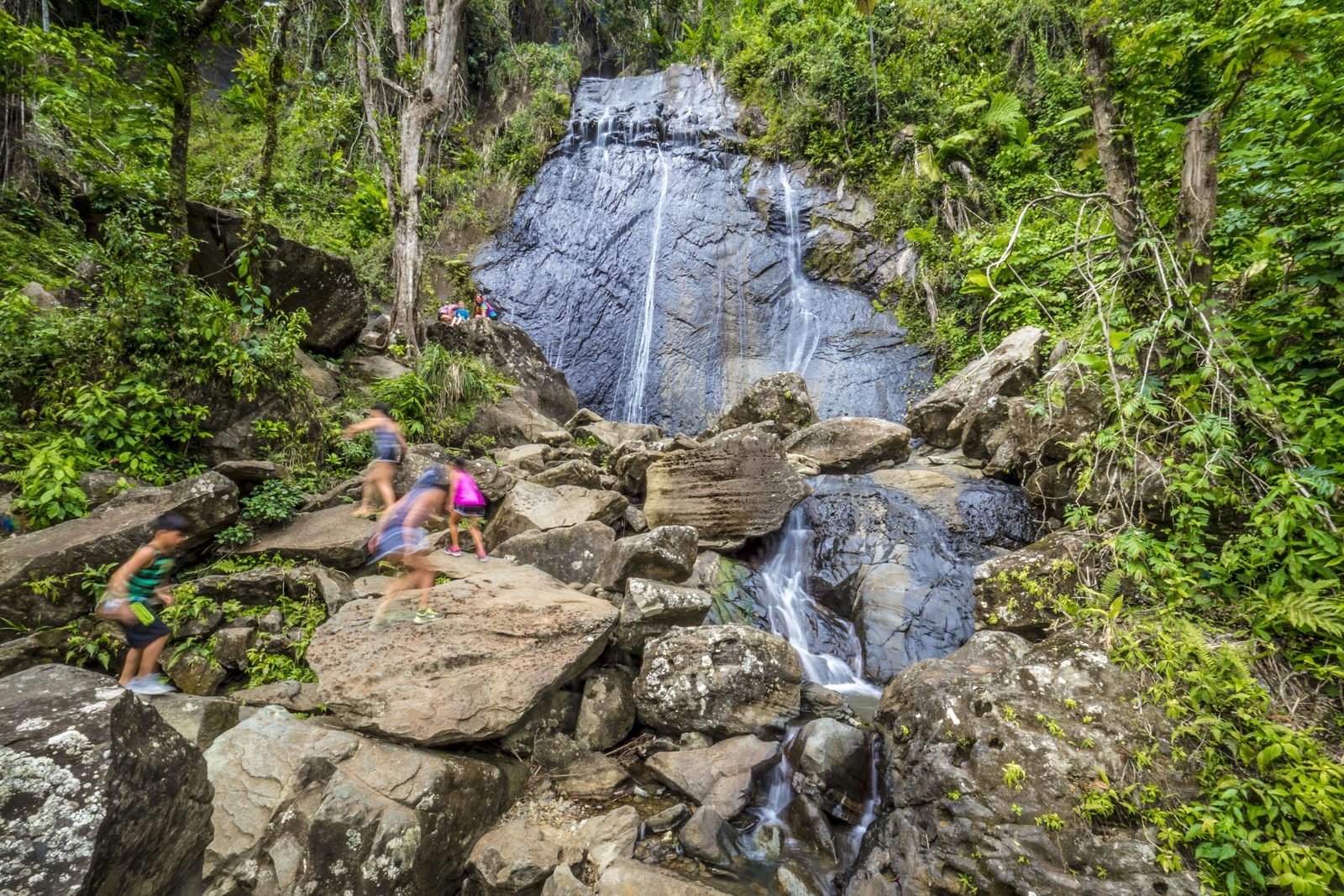 El Yunque National Forest, photo 3 of 4