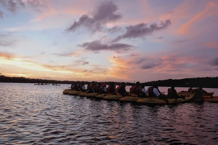 Bio Bay Kayak Tour in Fajardo, photo 6 of 10